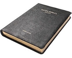 Spanish RVG Bible (Genuine Leather, Thumb Indexed)